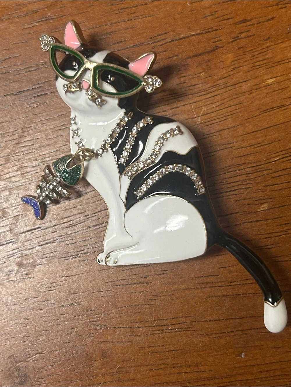 Heidi K9 fashionable cat
